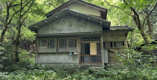 B815-10 - 外観